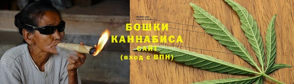 стаф Корсаков