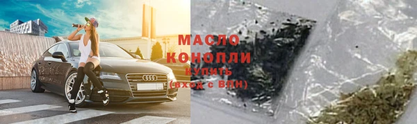 стаф Корсаков