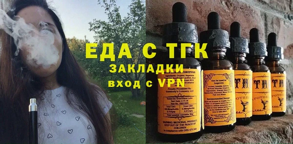 стаф Корсаков