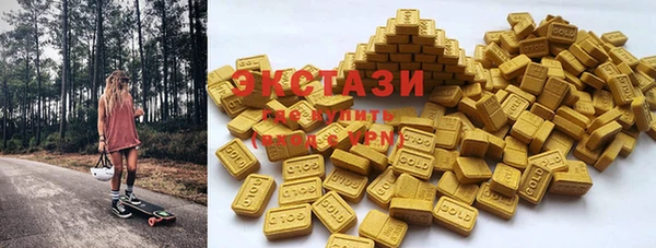 стаф Корсаков