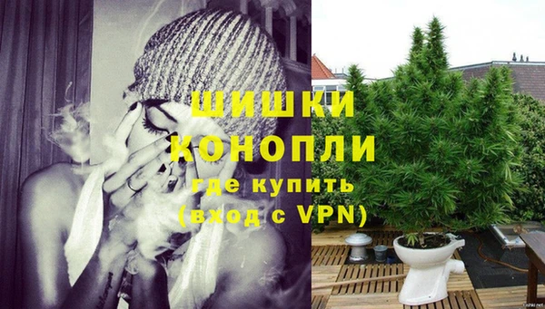 стаф Корсаков
