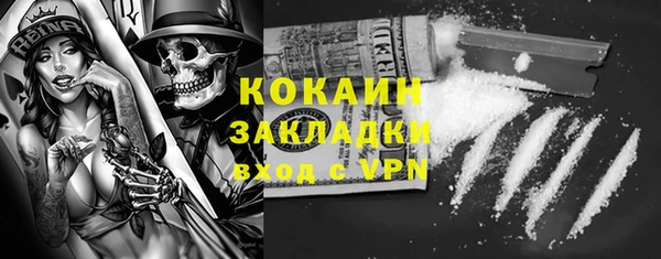 стаф Корсаков