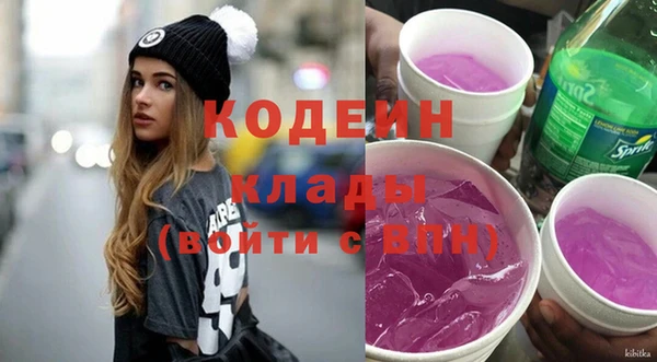 стаф Корсаков