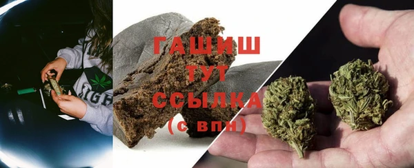стаф Корсаков